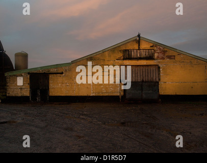 Une grange jaune sur une ferme porcine de Suffolk. Banque D'Images