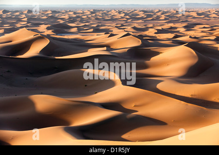 Le Maroc, M'Hamid, Erg Chigaga dunes de sable. Désert du Sahara. Banque D'Images