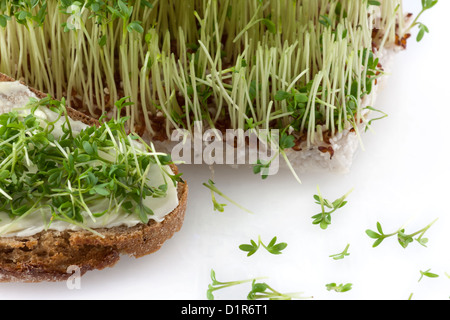 Un pain avec beurre et cress en face de cress Banque D'Images