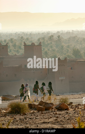 Le Maroc, près de Zagora kasbah, Ziwane. Lever de soleil sur l'oasis et palmiers. kasbah et ksar (village fortifié). Banque D'Images