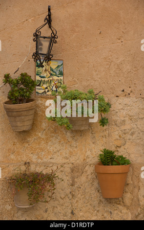 La ville de Valdemossa est bien connu pour le détroit, une maison confortable et beaucoup de fleurs. Banque D'Images