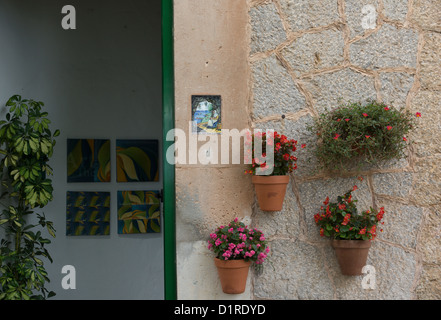 La ville de Valdemossa est bien connu pour le détroit, une maison confortable et beaucoup de fleurs. Banque D'Images