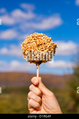 Virginie, États-Unis - Apple couverts caramel avec les écrous à l'aide d'un bâton. Banque D'Images