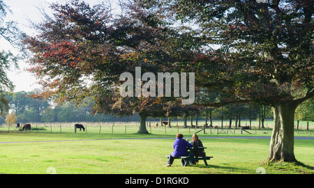 Paxton House estate, Berwickshire, stately home à côté de la rivière Tweed - deux personnes à table dans un parc, automne Banque D'Images