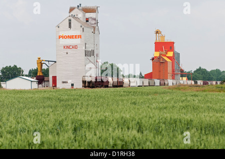 Un champ de blé (mûrissement) Silos à grains et des véhicules ferroviaires, Kincaid, en Saskatchewan, Canada. Banque D'Images