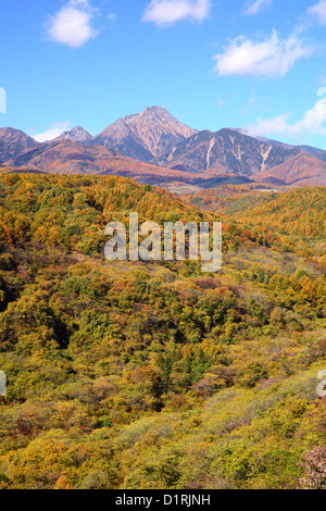 Mt. Yatsugatake de couleurs d'automne, Yamanashi, Japon Banque D'Images