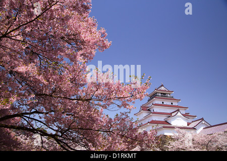 Aizuwakamatsu Castle et cherry blossom de Fukushima, au Japon Banque D'Images