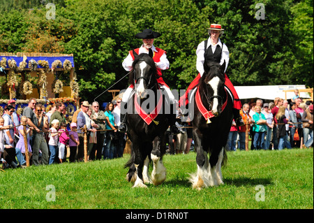 Rosstag Shire-Hors • Bartholomae, Bade-Wurtemberg, Allemagne Banque D'Images