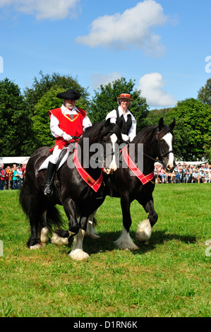 Rosstag Shire-Hors • Bartholomae, Bade-Wurtemberg, Allemagne Banque D'Images