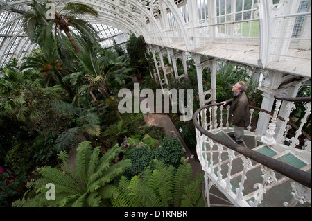 L'Europe, le public le plus important site de serre. Kew Gardens, Kew, Londres, 02 janvier 2012. Banque D'Images