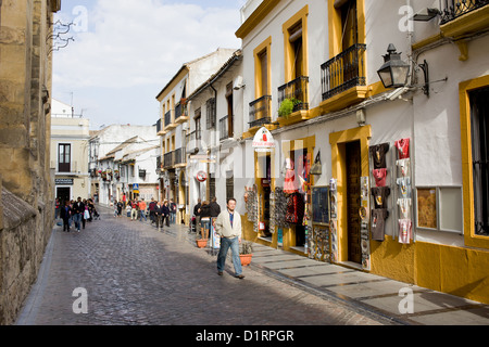 Cardenal Gonzales street dans la vieille ville de la ville de Cordoba en Espagne, région d'Andalousie. Banque D'Images