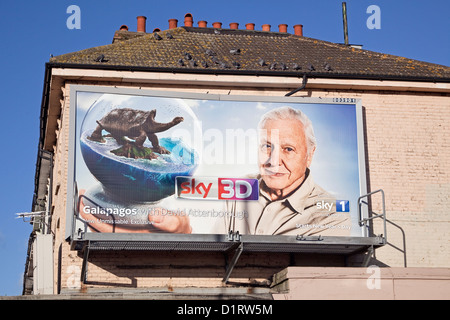 London Lewisham, David Attenborough sur Sky TV sur une maison de Brockley Banque D'Images