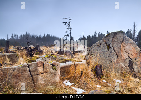 Grande roche pierres dans Harz Banque D'Images