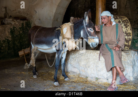 Millstone & âne utilisé pour presser les olives pour faire l'huile d'olive dans Nazareth Village Banque D'Images