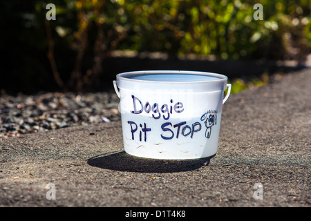 Un seau en plastique blanc étiqueté "Doggie Pit Stop" à la main sert de bol d'eau pour les chiens au bord de la route à Ucluelet, Colombie-Britannique, Canada Banque D'Images