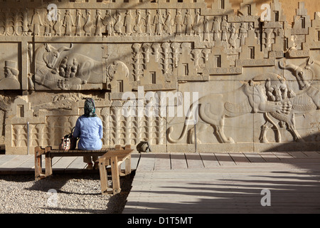 Palais Apadana escaliers, Persepolis, Iran Banque D'Images