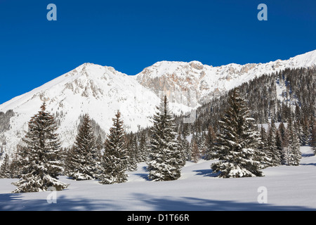 Valley Gaistal avec la neige durant l'hiver profond dans le Tyrol, Autriche. Vue vers la crête de la montagne du Wetterstein Banque D'Images