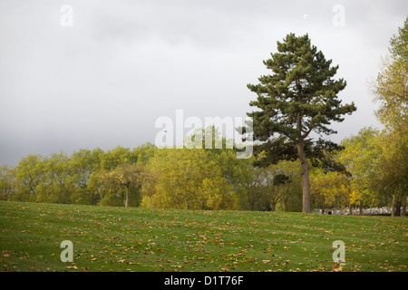 Photographie de paysage d'arbres dans le parc de bois rond, North West London, NW10, Royaume-Uni Banque D'Images