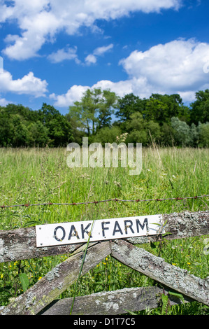 Ancienne ferme et Hay Meadow Norfolk UK Banque D'Images