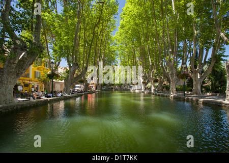 Piscine bordée d - les Bassin de l'Etang, dans la place publique de Cucuron, Provence France Banque D'Images