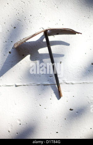 Rusty ancienne agricoles à des semences Banque D'Images