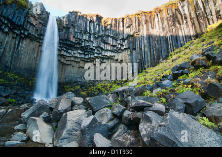 Belle cascade Svartifoss, le parc national de Skaftafell, le sud de l'Islande Banque D'Images