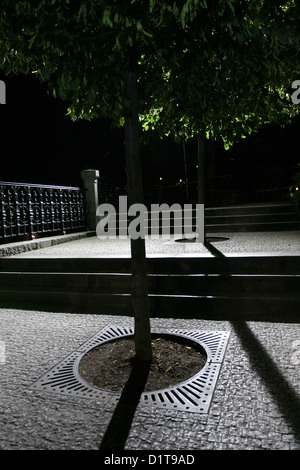 Les étapes, les arbres et les ombres avant de l'hôtel Four Seasons de nuit Prague Praha République Tchèque Banque D'Images