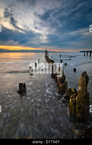 Coucher de soleil sur le Puget Sound au point de pique-nique County Park, comté de King, Washington, États-Unis Banque D'Images