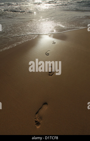 Un groupe d'empreintes de pas dans le sable humide sur une plage déserte, au petit matin, avec des vagues dans l'arrière-plan. Banque D'Images
