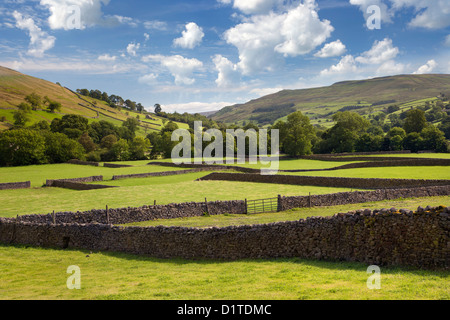 Gunnerside, Swaledale, Yorkshire, Angleterre Banque D'Images