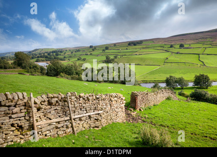 Yorkshire Dales, Swaledale, Angleterre Banque D'Images