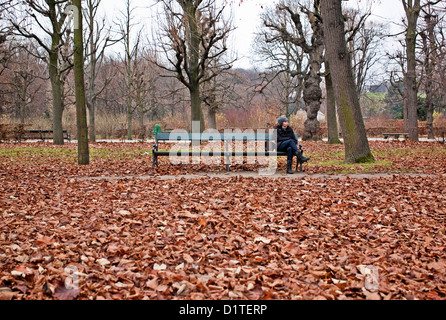 -Modèle en hiver- Parc de Schönbrunn, à Vienne (Autriche). Banque D'Images