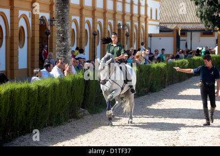 Jerez de la Frontera, Espagne, equestrienne dans la circonscription de l'école royale andalouse d'Art Banque D'Images