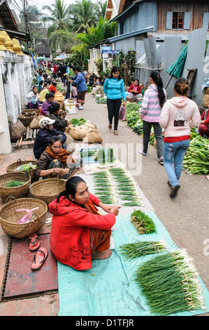 LUANG PRABANG, Laos — une gamme de produits frais colorés exposés au marché du matin à Luang Prabang, Laos. Les vendeurs locaux offrent une variété de fruits, légumes et herbes, mettant en valeur la richesse agricole de la région et jouant un rôle vital dans la vie quotidienne et la culture culinaire de la ville. Banque D'Images