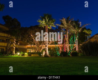 Palmiers dans le jardin de l'hôtel décoré avec des lumières de Noël en début de soirée Banque D'Images