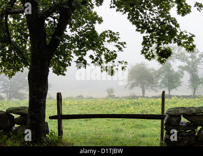 Scenic Rural, West Tisbury, Martha's Vineyard, Massachusetts, USA Banque D'Images