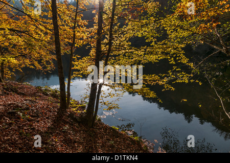 Couleurs d'automne au sept lacs de Bolu, Turquie Banque D'Images