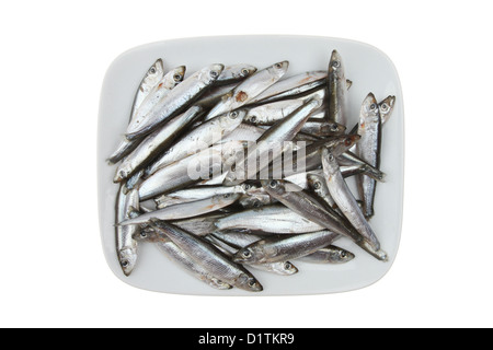 Les petits poissons crus whitebait sur une plaque isolés contre white Banque D'Images