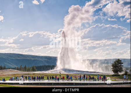 Une foule regarde le Old Faithful Geyser en éruption au cours d'une visite d'été à Parc National de Yellowstone Banque D'Images