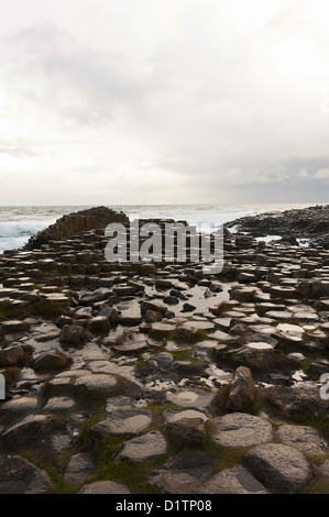 La belle près de Giant's Causeway Bushmills sur le Comté d'Antrim Coast Irlande du Nord Royaume-Uni UK Banque D'Images