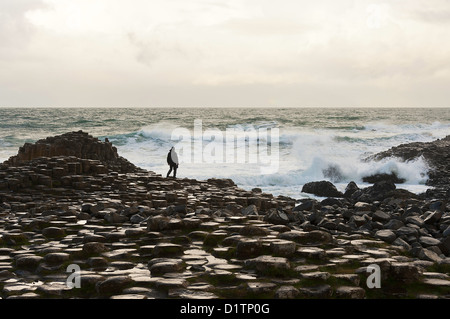 La belle près de Giant's Causeway Bushmills sur le Comté d'Antrim Coast Irlande du Nord Royaume-Uni UK Banque D'Images