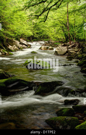 La rivière qui coule au milieu des cascades de la rivière Little Prong. Banque D'Images