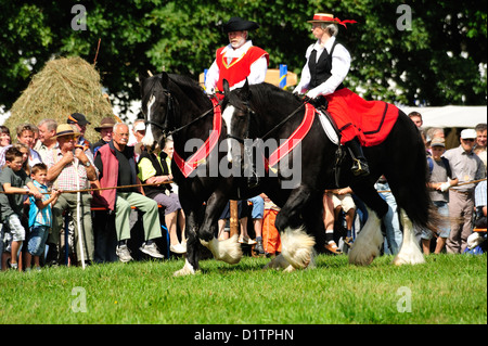 Rosstag Shire-Hors • Bartholomae, Bade-Wurtemberg, Allemagne Banque D'Images