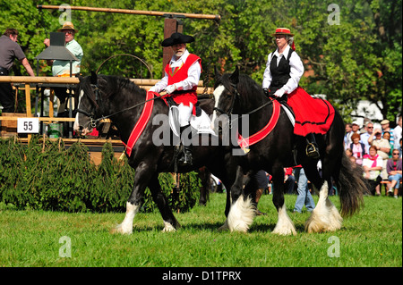 Rosstag Shire-Hors • Bartholomae, Bade-Wurtemberg, Allemagne Banque D'Images