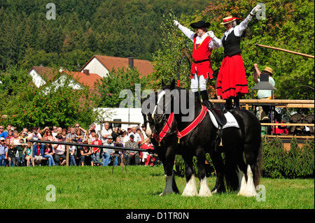 Rosstag Shire-Hors • Bartholomae, Bade-Wurtemberg, Allemagne Banque D'Images