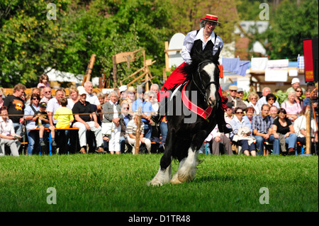 Rosstag Shire-Hors • Bartholomae, Bade-Wurtemberg, Allemagne Banque D'Images