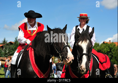 Rosstag Shire-Hors • Bartholomae, Bade-Wurtemberg, Allemagne Banque D'Images