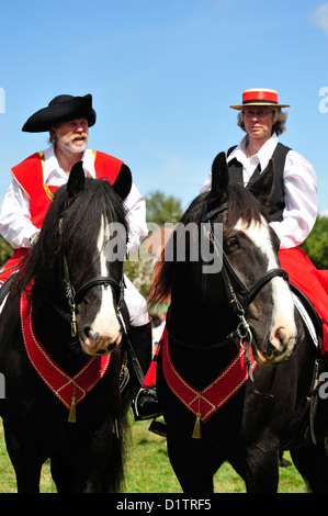 Rosstag Shire-Hors • Bartholomae, Bade-Wurtemberg, Allemagne Banque D'Images