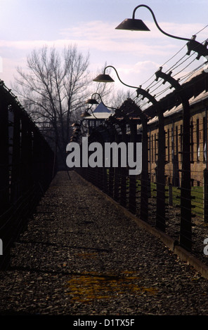 Barbwire électrique au camp de concentration d'Auschwitz en Pologne Banque D'Images