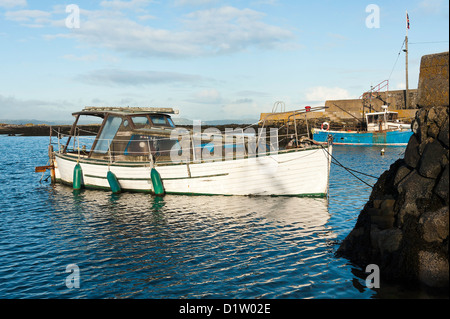 Une vieille Coque blanche cabin cruiser amarré dans le port de Groomsport County Down Irlande du Nord Royaume-Uni UK Banque D'Images